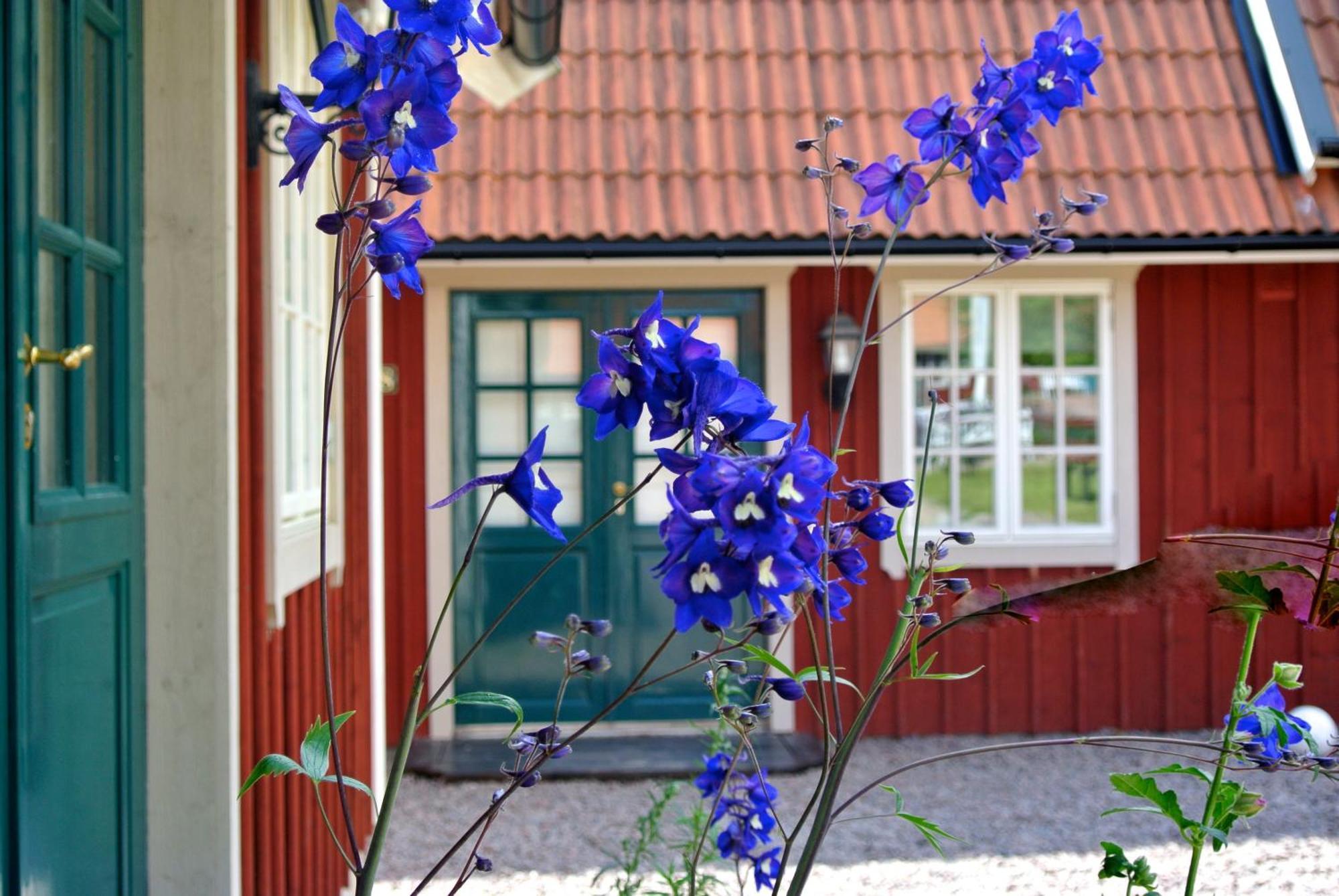 Oxgarden Hotel Vimmerby község Kültér fotó